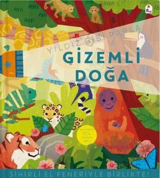 Yıldız Gibi Parla Gizemli Doğa Sihirli El Feneriyle Birlikte