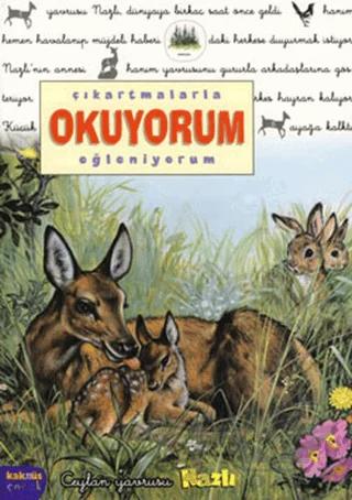 Nobel Kitap