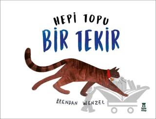 Nobel Kitap