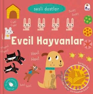 Sesli Dostlar Evcil Hayvanlar Sesli Kitap