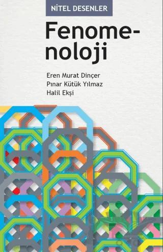 Nitel Desenler Fenomenoloji