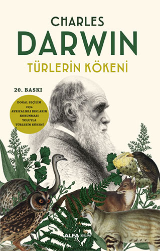 Pelikan Kitabevi