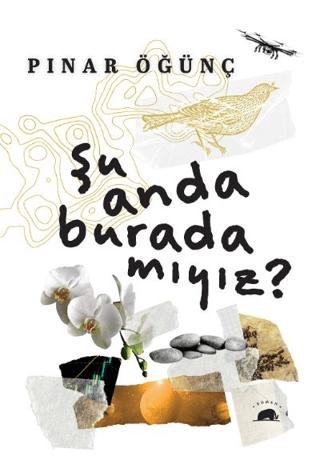 Pelikan Kitabevi