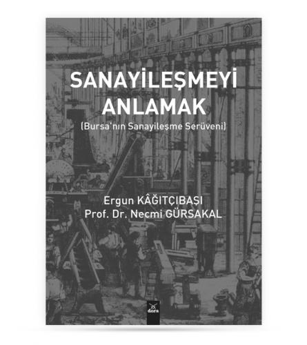 Sanayileşmeyi Anlamak
