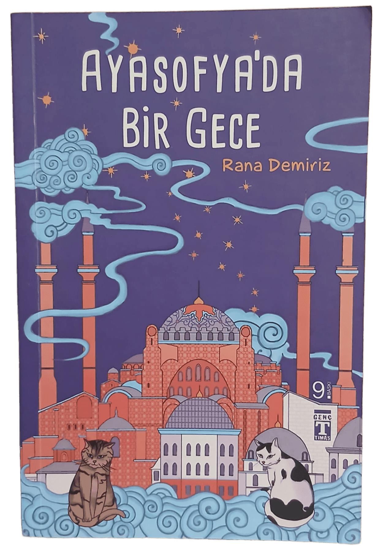 Ayasofya da Bir Gece
