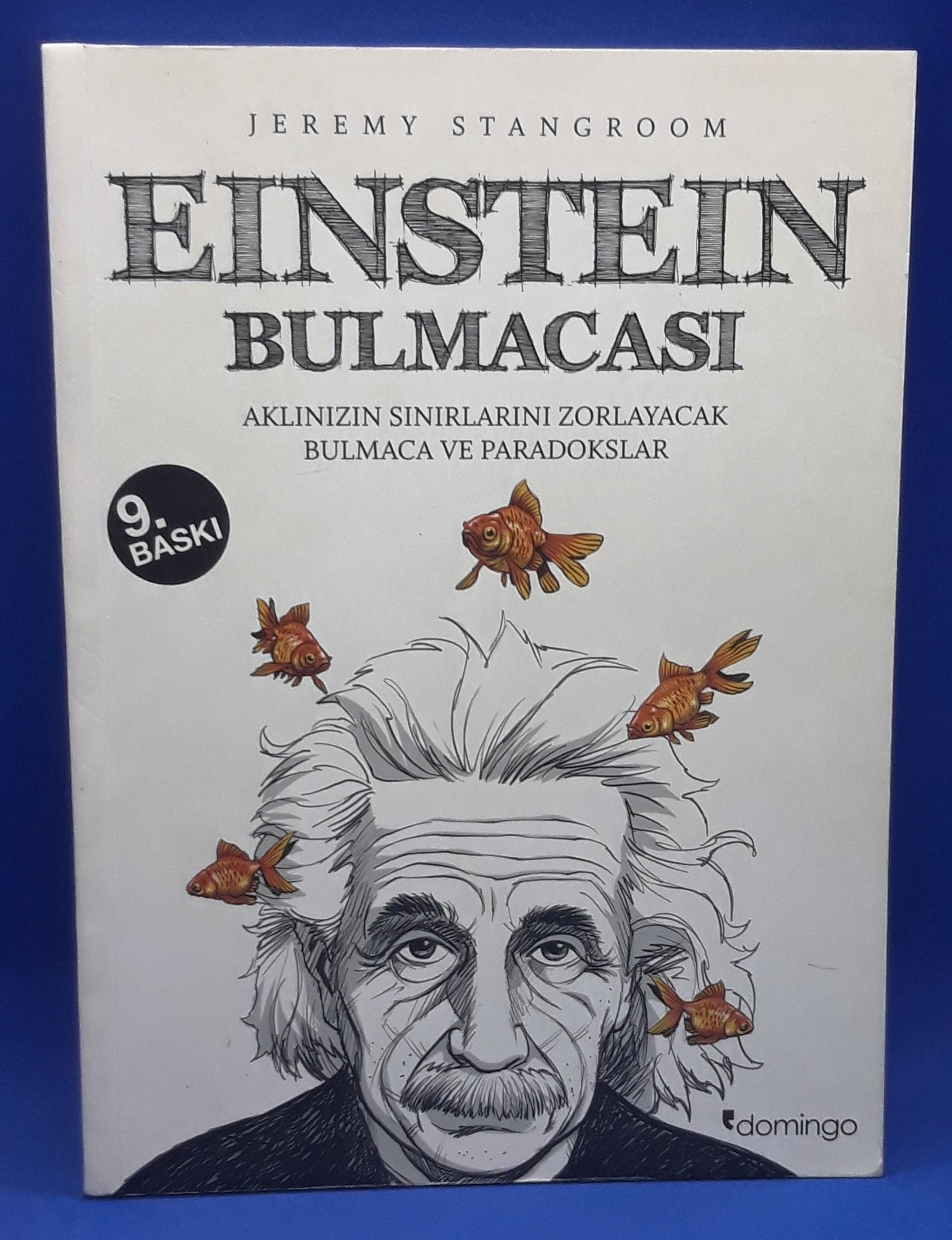 Einstein Bulmacası 1