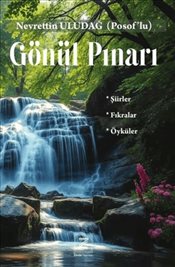 Gönül Pınarı Şiirler Fıkralar Öyküler