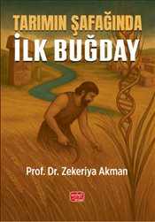 Pandora