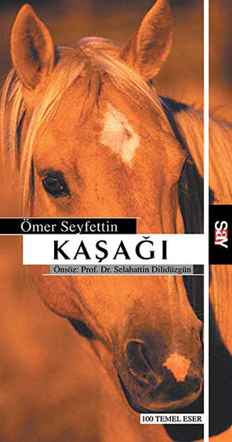 Say Yayınları