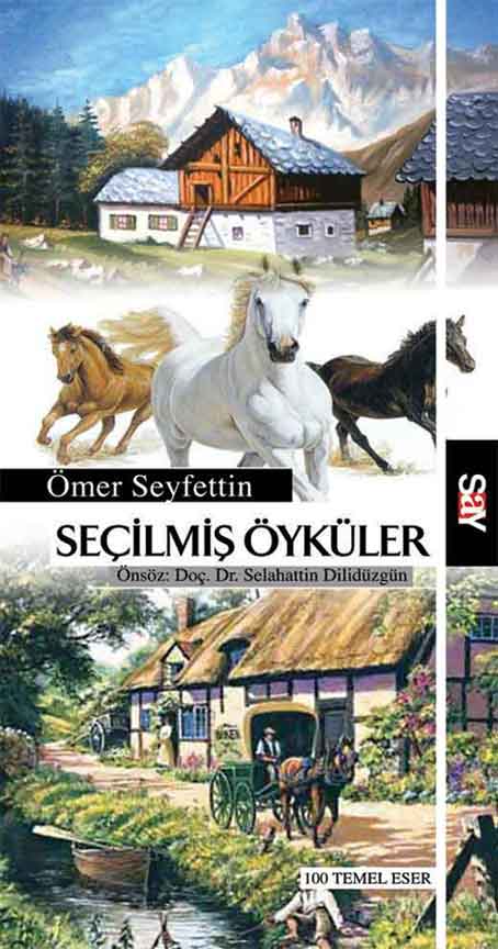 Say Yayınları