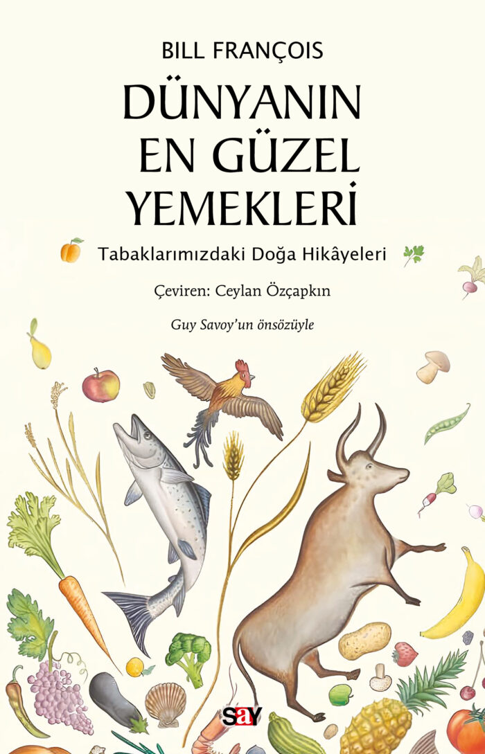 Say Yayınları
