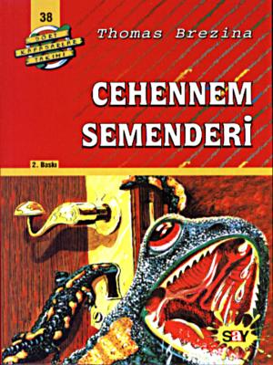 Say Yayınları