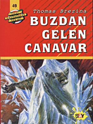 Say Yayınları