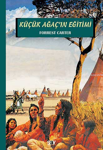 Say Yayınları