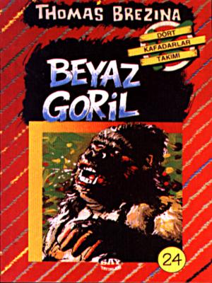 Say Yayınları