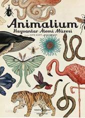 Animalium Hayvanlar Alemi Müzesi