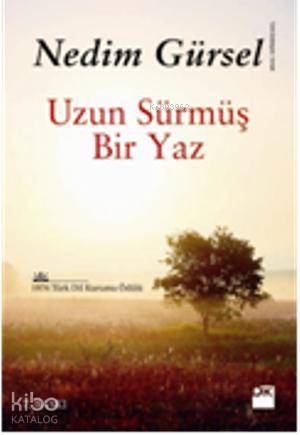 Uzun Sürmüş Bir Yaz