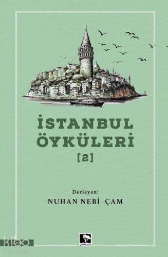 İstanbul Öyküleri 2