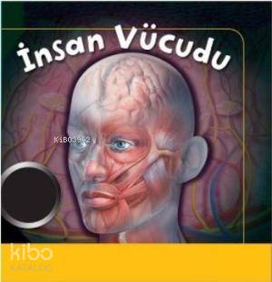 İnsan Vücudu