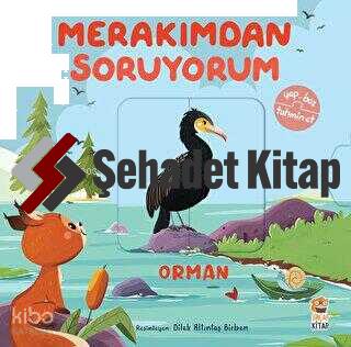 Şehadet Kitap