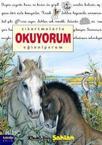 Çıkartmalarla Okuyorum Eğleniyorum Küçük Tay Şahlan
