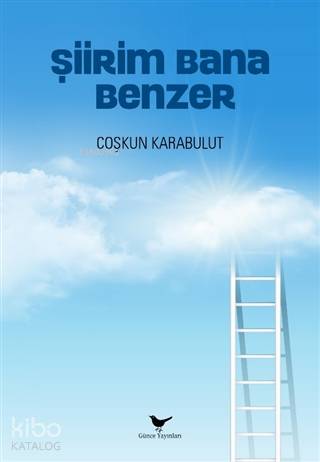 Şiir Şair ve Okur