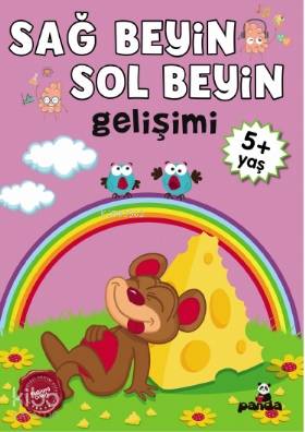 Sağ Beyin Sol Beyin Gelişimi 5 Yaş