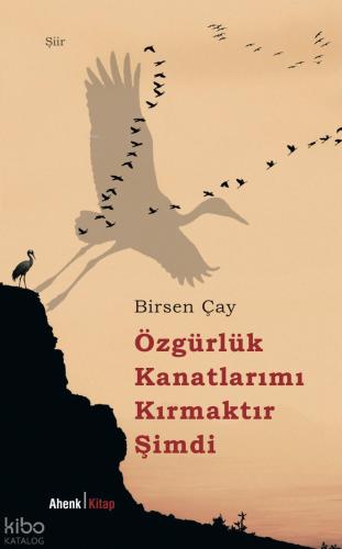 Özgürlük Kanatlarımı Kırmaktır Şimdi