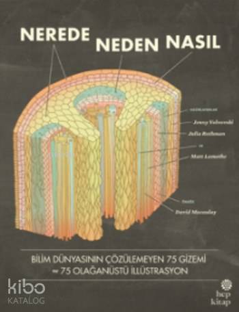 Nerede Neden Nasıl