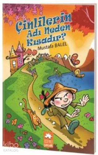 Çinlilerin Adı Neden Kısadır