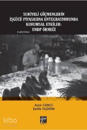 Suriyeli Göçmenlerin İşgücü Piyasasına Entegrasyonunda Kurumsal Etkiler UNDP Örneği