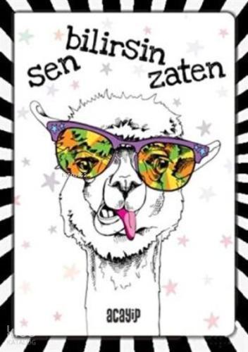 Havalı Panda Defter Çılgın Defterler