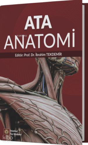 Ata Anatomi