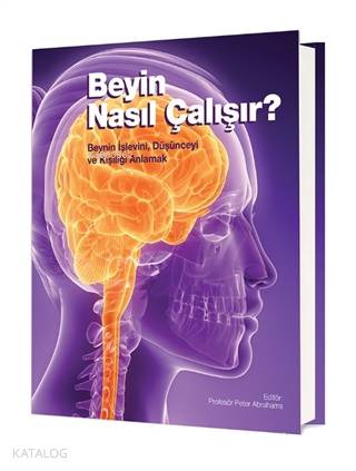 Beyin Nasıl Çalışır