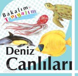 Bakalım Tanıyalım Deniz Canlıları