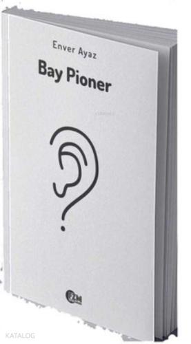 Bay Pioner