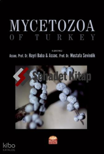 Mycetozoa of Turkey