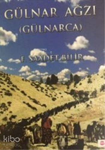 Gülnar Ağzı