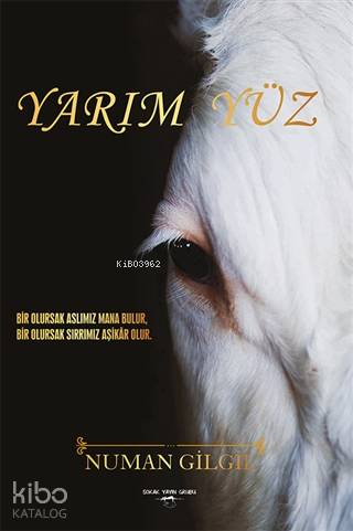 Yarım Yüz Numan Gilgil