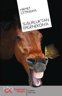 Susurluk tan Ergenekon a