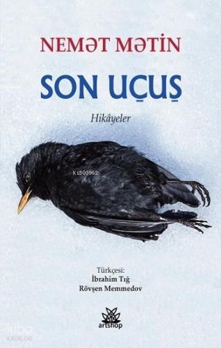 Son Uçuş Hikayeler