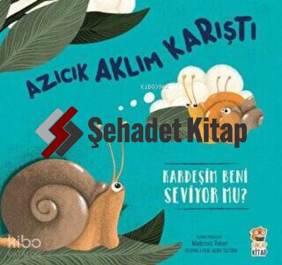 Şehadet Kitap