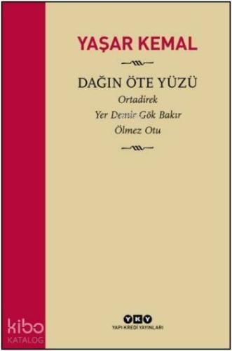 Dağın Öte Yüzü