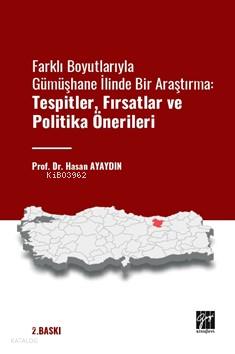Farklı Boyutlarıyla Gümüşhane İlinde Bir Araştırma Tespitler