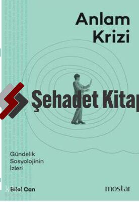 Anlam Krizi