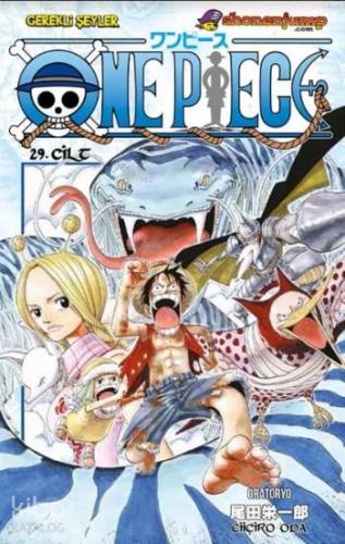 One Piece Cilt 29