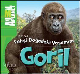 Vahşi Doğadaki Yaşamım Goril