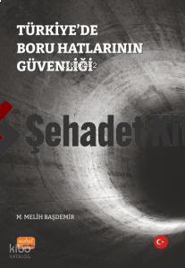 Türkiye de Boru Hatlarının Güvenliği