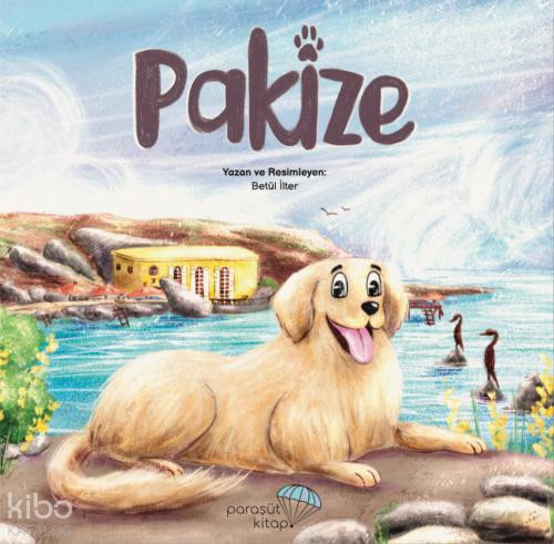 Pakize