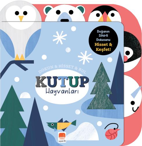 Dokun Hisset Bul Okyanus Hayvanları